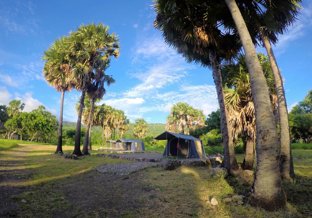 Compass Diving Resort Beloi Buitenkant foto