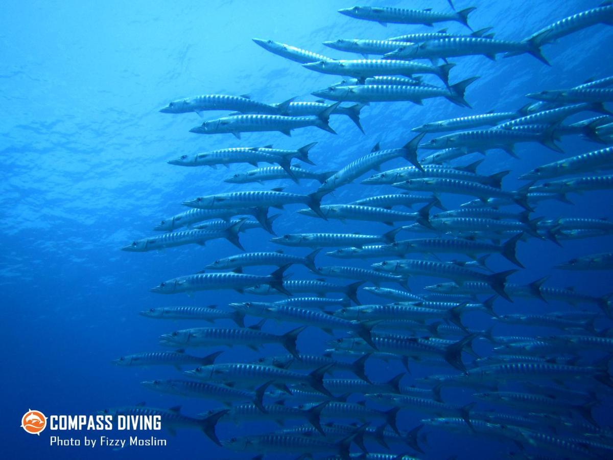 Compass Diving Resort Beloi Buitenkant foto